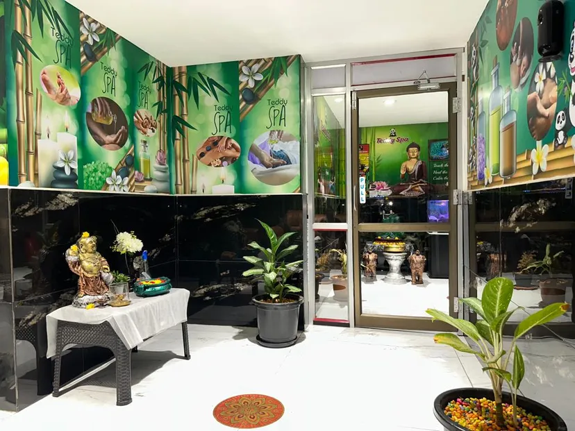 Teddy Spa Beauty & Wellness Spa