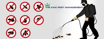 The King Pest Management pest controller - 2