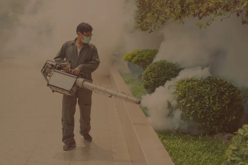 Paradise Pest Control India Pvt Ltd