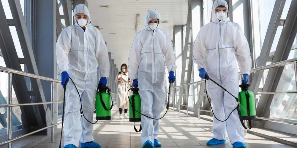 Professional pest Control