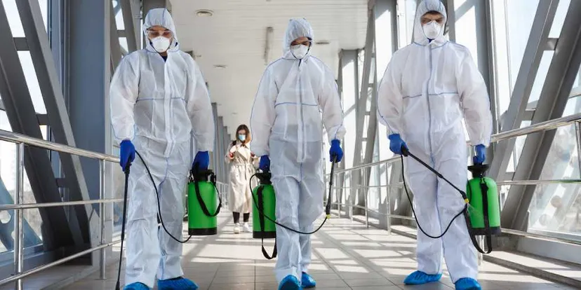 Professional pest Control