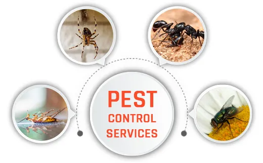 PCS Pest Control Services of India - 2