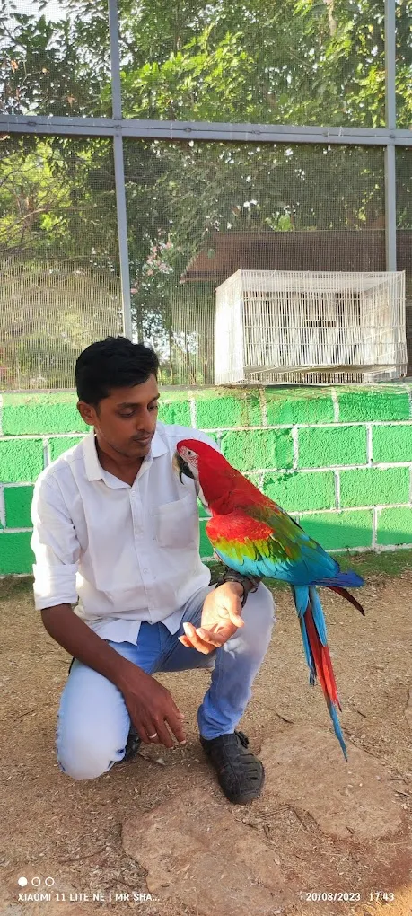 Sharukh Pets Shop - 2