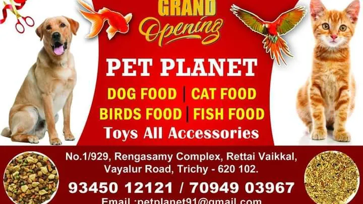 Pet Planet