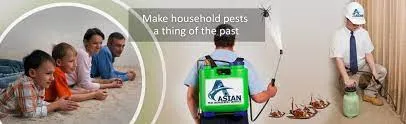 Asian Pest Management Service - 4