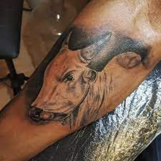 TATTOO HUNTER PY ( world class tattoo studio)