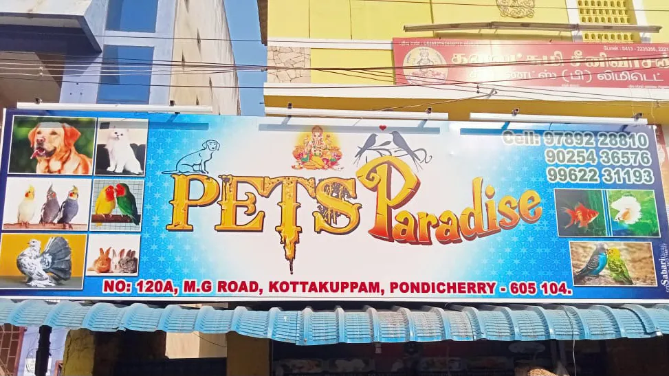 PETS PARADISE PONDY