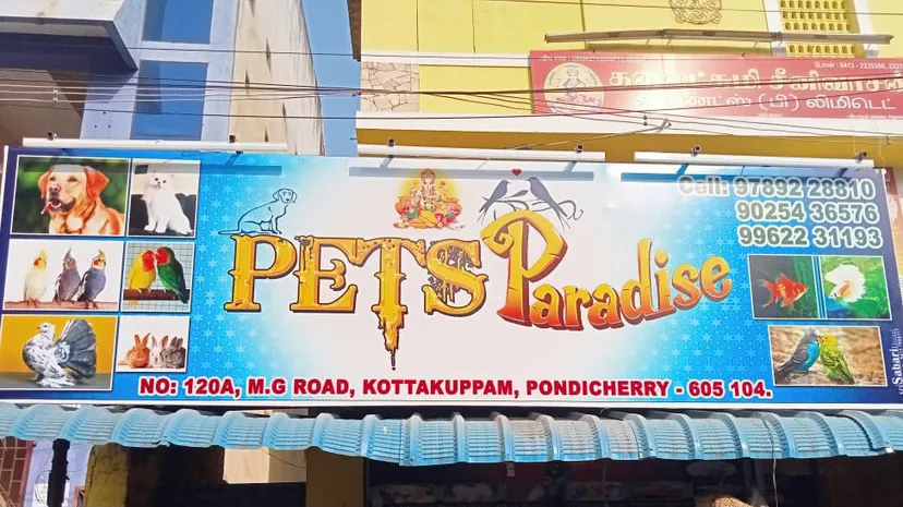 PETS PARADISE PONDY