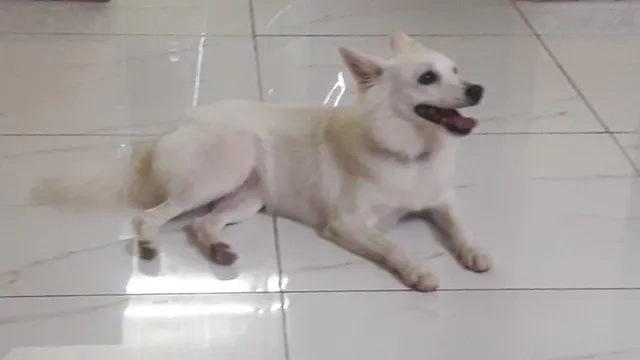 STEPHE PET SHOP & MARTINA FISH WORLD - 2