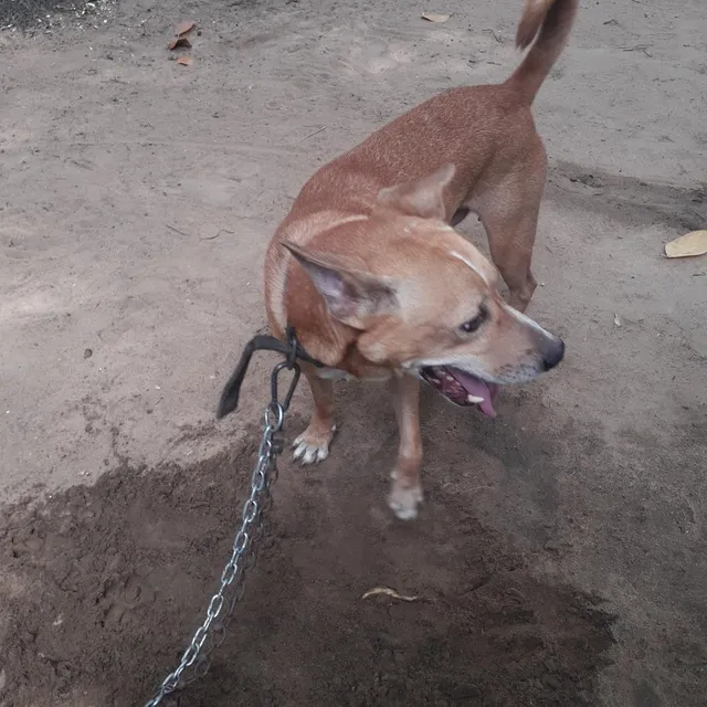 STEPHE PET SHOP & MARTINA FISH WORLD - 3