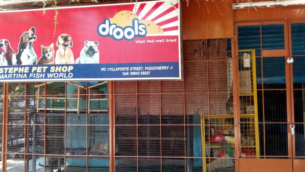 STEPHE PET SHOP & MARTINA FISH WORLD