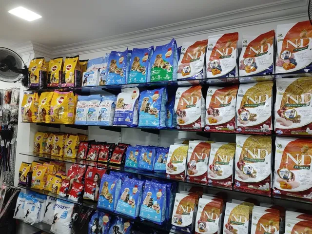 Pet City - PET SHOP - 2