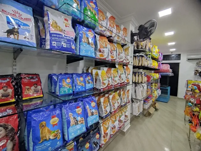 Pet City - PET SHOP - 3