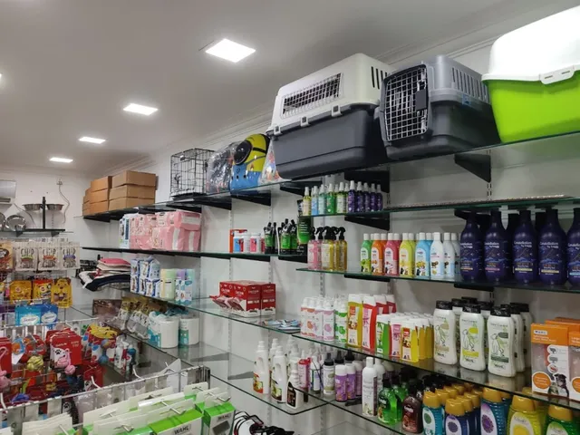 Pet City - PET SHOP - 4