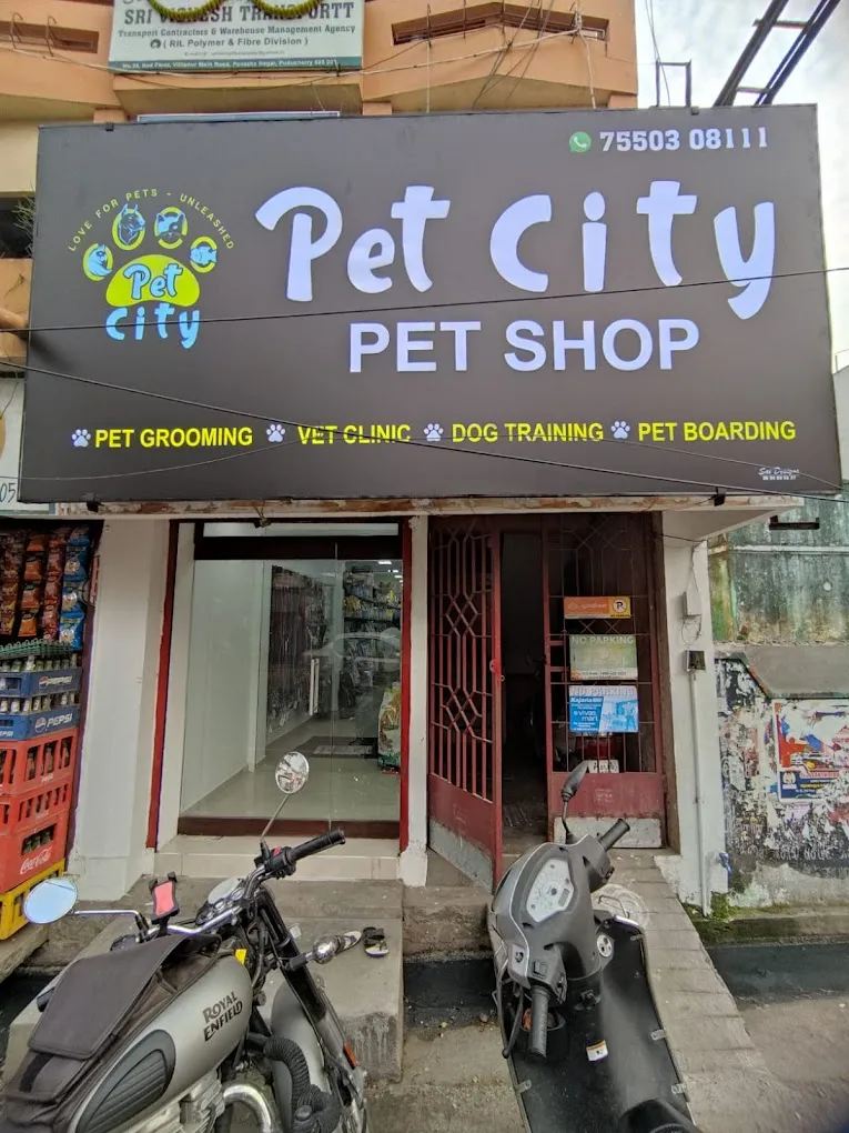 Pet City - PET SHOP