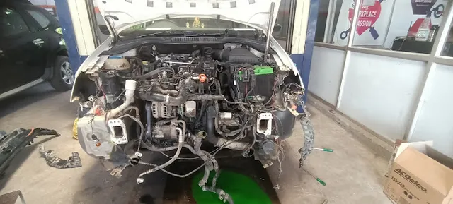 Hemalatha Aquarium & Pets - 3