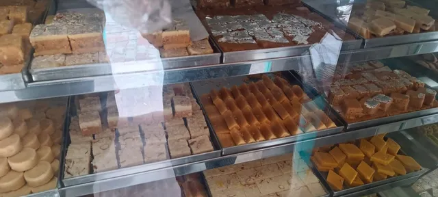 Shree Narsingh Sweets Limited - 3