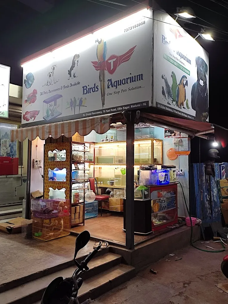 T birds (pet shop and aquarium)