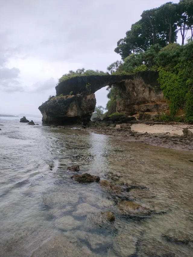 Shri Narayana Travel Agency - 4