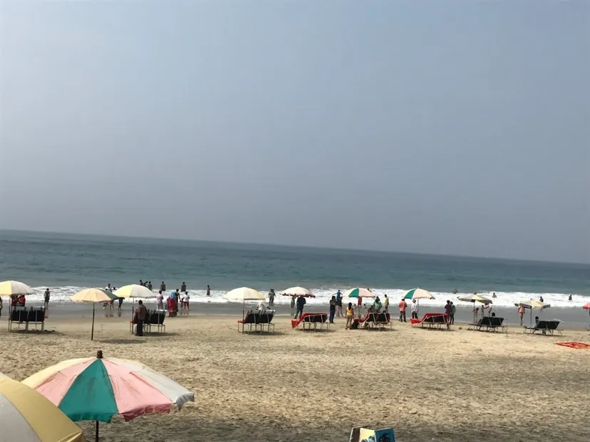 Sharvesh Tours and Travels