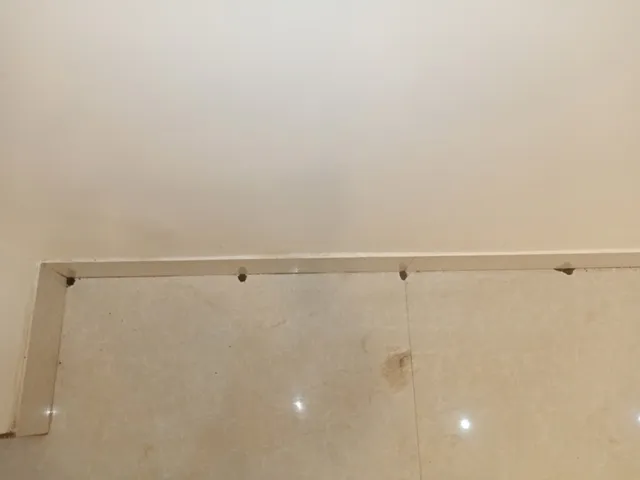 Elite Pest Control Services - 3