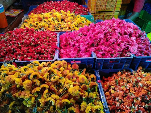 KRV Pest Control Services in Madurai | Best Residential and Commercial Pest Control in Madurai - 2