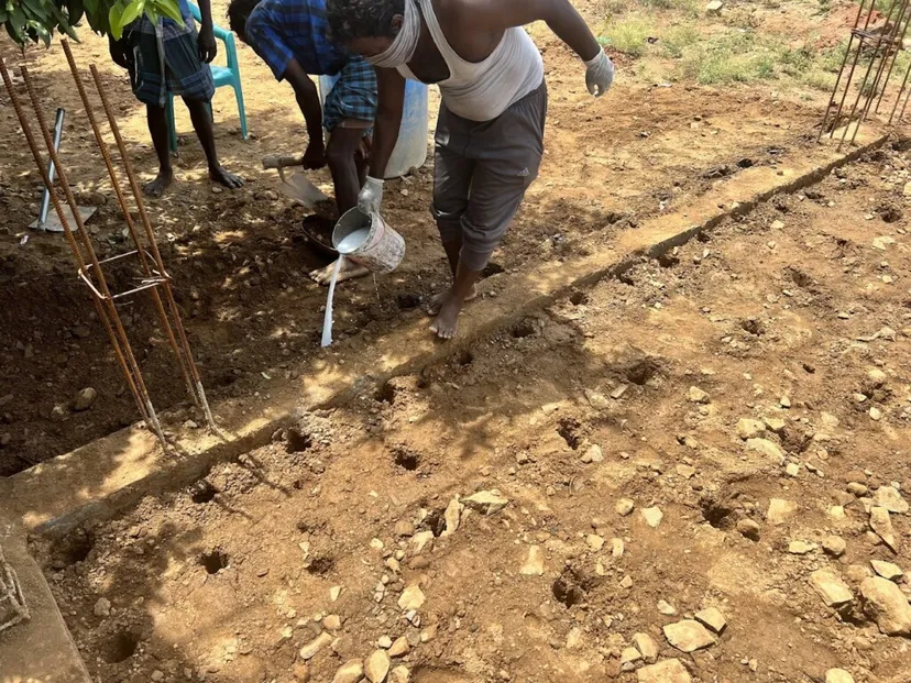 Pest Control Services Madurai