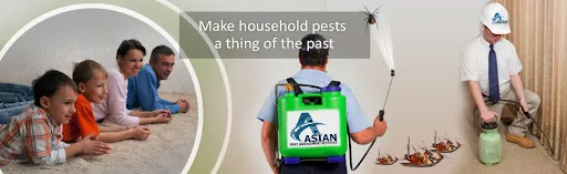Asian Pest Management Service Madurai