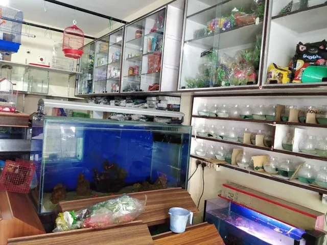 Neelas's Live Colours Aquarium & Pets - 3
