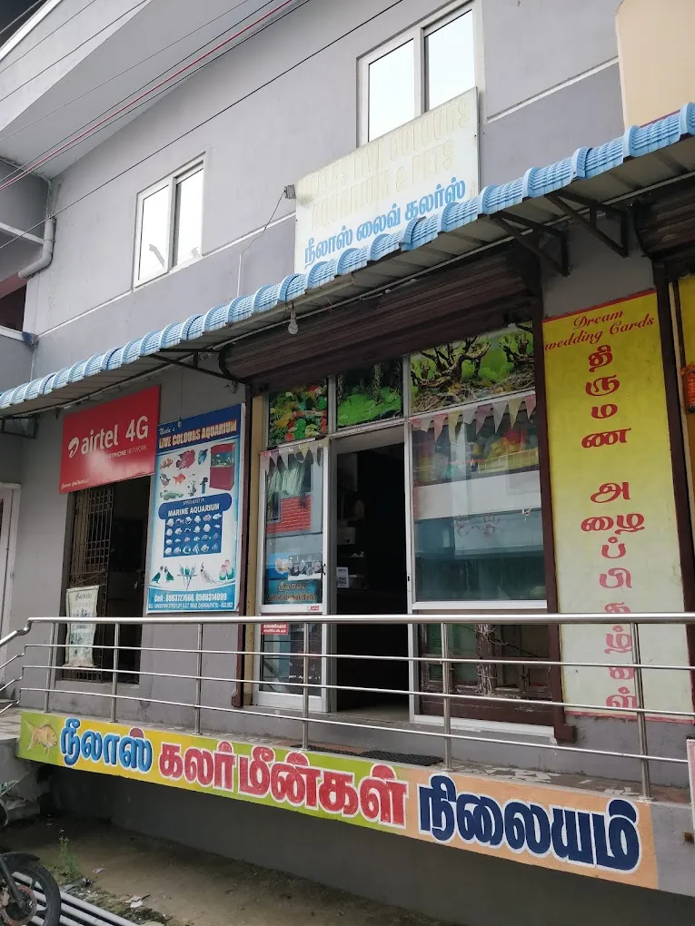 Neelas's Live Colours Aquarium & Pets