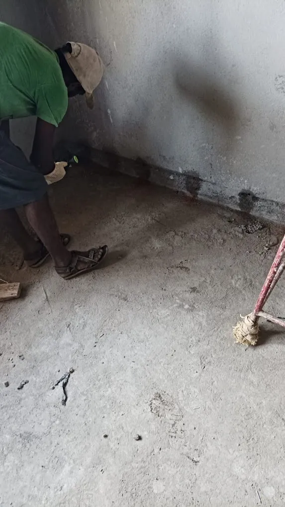 ASM Pest control services