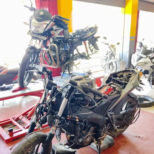 Tony Pet Shop Salem - 3