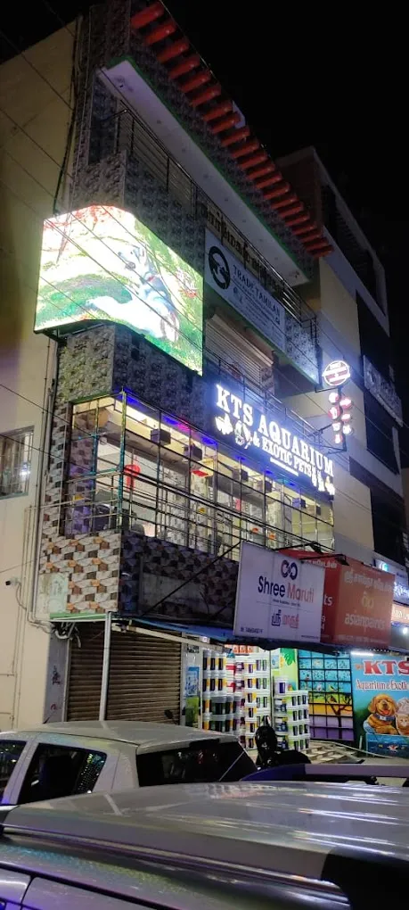 KTS Aquarium And Exotic Pets