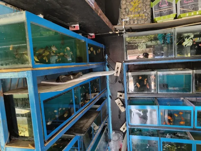 Fish Paradise - 4