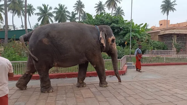 Sai Tours And Travels - 2