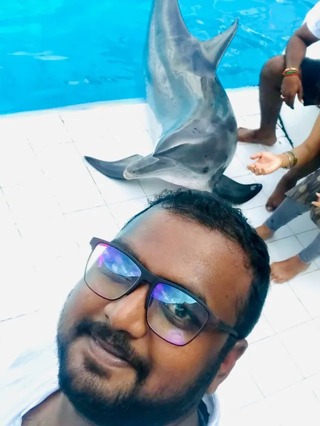 World Wide Tours & Travels - 3