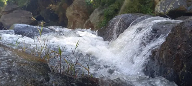 Abinaya Travels & Tours - 3