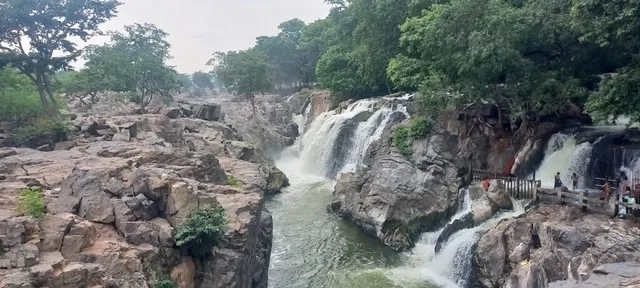 Abinaya Travels & Tours - 4