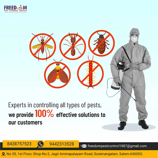 FREEDOM PEST CONTROL SERVICE - 2