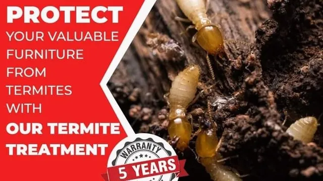FREEDOM PEST CONTROL SERVICE - 3