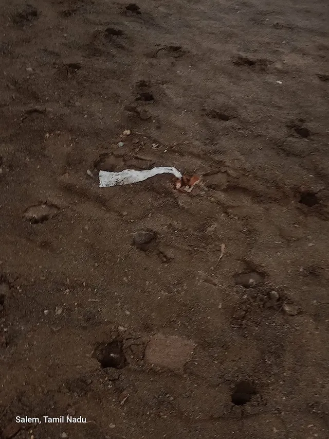 Bharat Pest Control Salem - residential/commercial/industrial pest service salem - 2