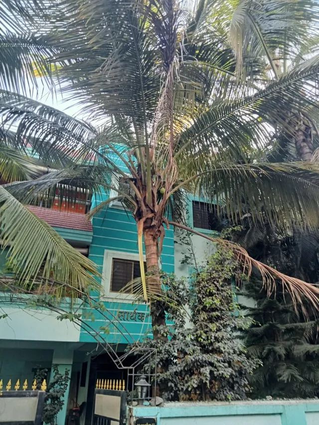 Trinity constructions - 2