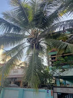 Trinity constructions - 3