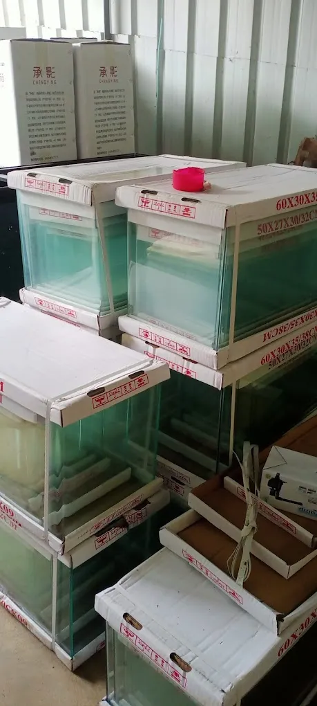 Rainbow Aquarium and Pets (Birds Shop/ Aquarium/Pets Food) - 3