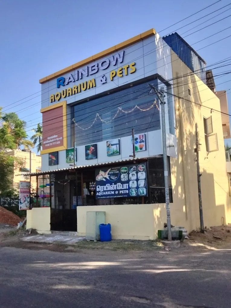 Rainbow Aquarium and Pets (Birds Shop/ Aquarium/Pets Food)