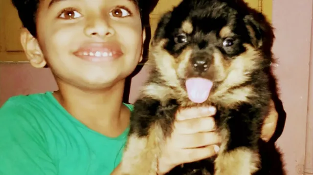 AR Pets and Kennel - 3