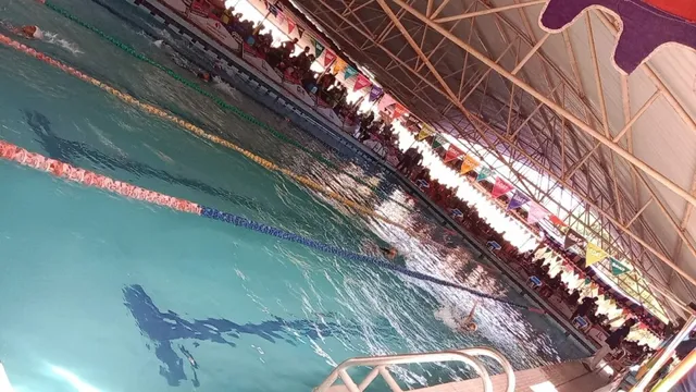 Swimming Pool, Anna Stadium - 3