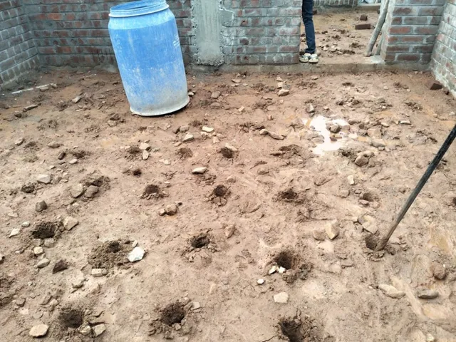 NELLAI PEST CONTROL - 3