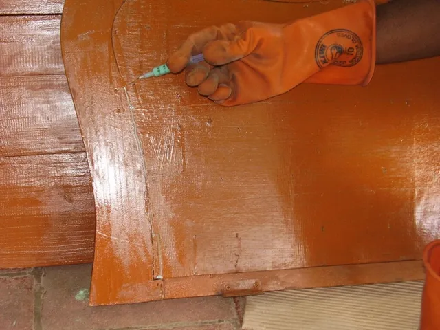 NELLAI PEST CONTROL - 4