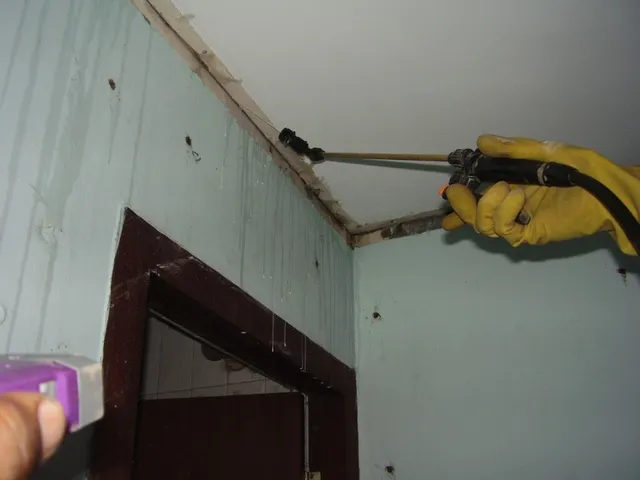 NELLAI PEST CONTROL - 5